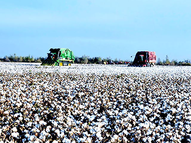 Cotton Machinery